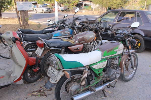 KR150-RXS-TRS-GTO ขายเดี่ยวหรือขายยกฝูง