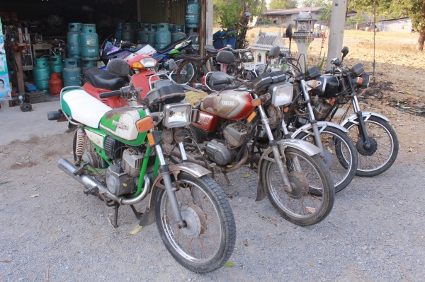 KR150-RXS-TRS-GTO ขายเดี่ยวหรือขายยกฝูง