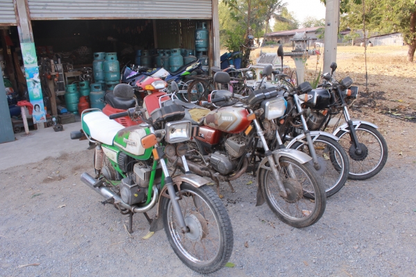 KR150-RXS-TRS-GTO ขายเดี่ยวหรือขายยกฝูง