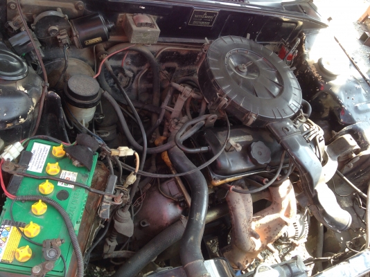 แชมป์ แชมป์