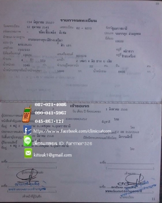 ขายรถบรรทุก ISUZU NPR 115