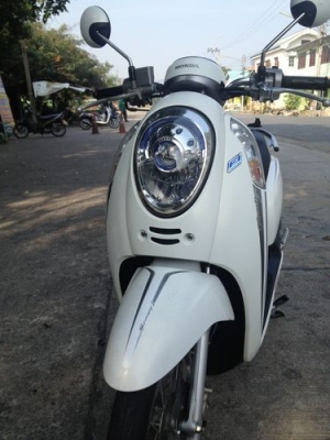 HONDA SCOOPY I ตัวใหม่ล่าสุด(ไฟฝัง)สภาพป้ายแดงลายคลาสสิครถปี2013วิ่ง4xxxโลสวยไร้ที่ติมีเล่มพร้อมโอน HONDA SCOOPY I ตัวใหม่ล่าสุด(ไฟฝัง)สภาพป้ายแดงลายคลาสสิครถปี2013วิ่ง4xxxโลสวยไร้ที่ติมีเล่มพร้อมโอน