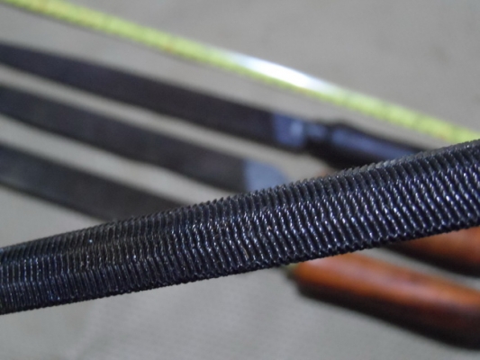 ตะใบท้องปลิง NICHOLSON CANADA