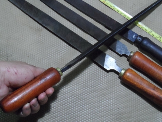 ตะใบท้องปลิง NICHOLSON CANADA