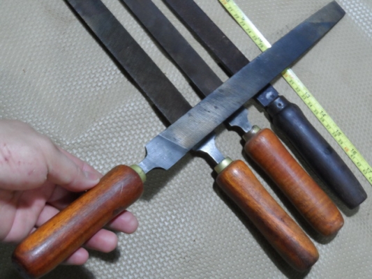 ตะใบท้องปลิง NICHOLSON CANADA