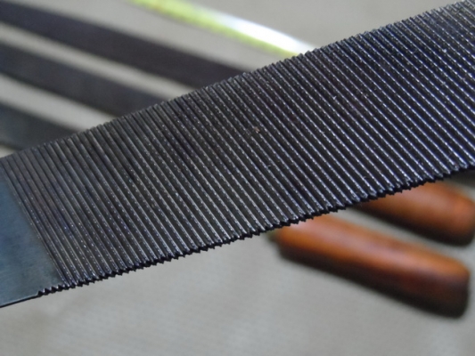 ตะใบท้องปลิง NICHOLSON CANADA