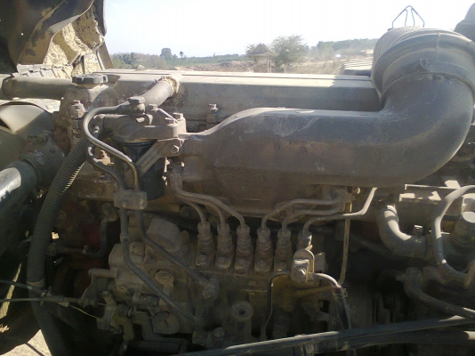 ขายฮีโน่สมอเงิน