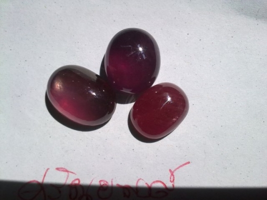 ขายพลอยทับทิมหลังเบี้ยอัฟริกาแท้