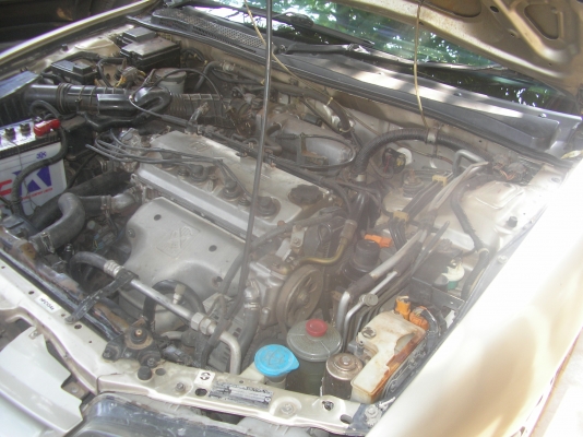 ขาย HONDA แอคครอดไฟท้อย 2ก้อน ปี39 เกียร์ออโต เครื่องวีเทค ล้อแมก เครื่องเล่นโซนี