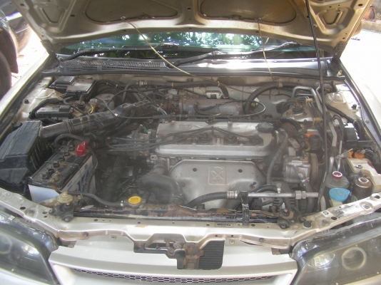 ขาย HONDA แอคครอดไฟท้อย 2ก้อน ปี39 เกียร์ออโต เครื่องวีเทค ล้อแมก เครื่องเล่นโซนี