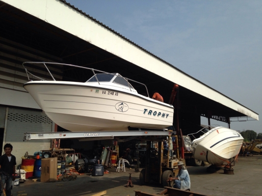 ขายเรือตกปลา TROPHY 1802