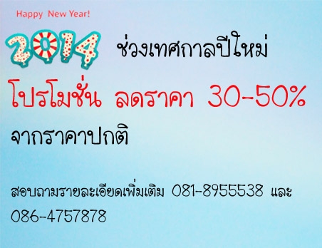 รถDodge เบอร์13