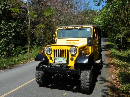 ขายถูก JEEP J46 4x4 เครื่อง4G53 สภาพสวยทะเบียนโอน ขายราคา 239,000.-(ไม่เอาวินซ์ลดไป25,000.-) ขายถูก JEEP J46 4x4 เครื่อง4G53 สภาพสวยทะเบียนโอน ขายราคา 239,000.-(ไม่เอาวินซ์ลดไป25,000.-)