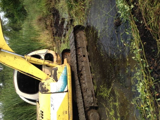 ขายแมคโค sk 120-5 ขายแมคโค sk 120-5