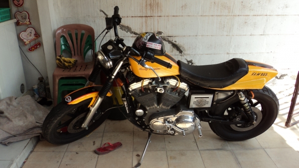 ขาย H D sportter 883