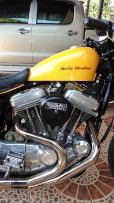 ขาย H D sportter 883