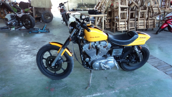 ขาย H D sportter 883