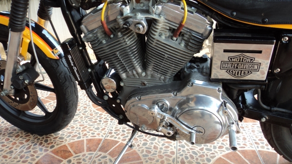 ขาย H D sportter 883