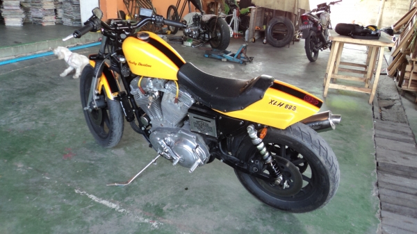 ขาย H D sportter 883