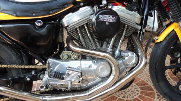 ขาย H D sportter 883