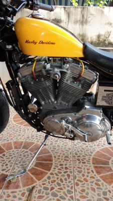 ขาย H D sportter 883