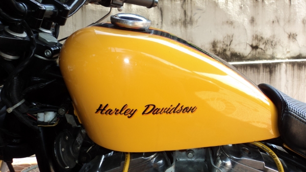 ขาย H D sportter 883