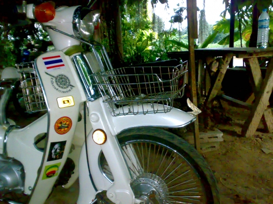 ขายc65 ถังแยก ทะเบียนโอน CDI สวยๆ ปรับลดให้ 3,000 ด่วนครับ ขายc65 ถังแยก ทะเบียนโอน CDI สวยๆ ปรับลดให้ 3,000 ด่วนครับ