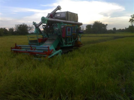 ขายรถเกี่ยวข้าว ไทยเจริญการช่าง 12 HT (โคราช)