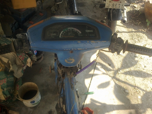 อร่อยหัวเขา  ติดต่อ 081-931-5032