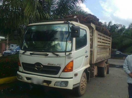 รถฮีโน่ 6 ล้อดั๊ม FC4J  150 แรงม้า  ปี 49  สนใจติดต่อ 081 - 6079515