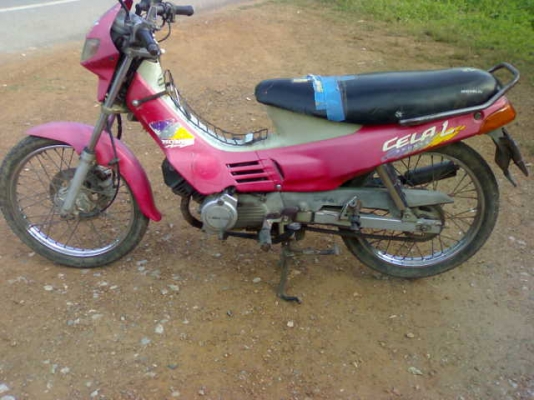 เซล่าปี34 สตาร์ทมือ