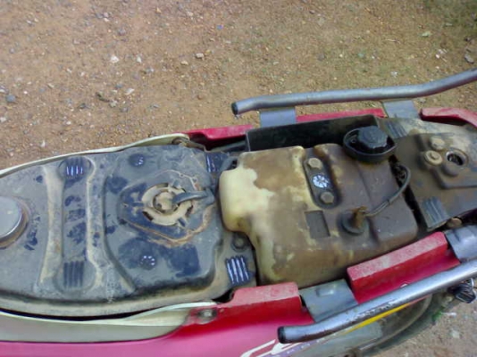 เซล่าปี34 สตาร์ทมือ