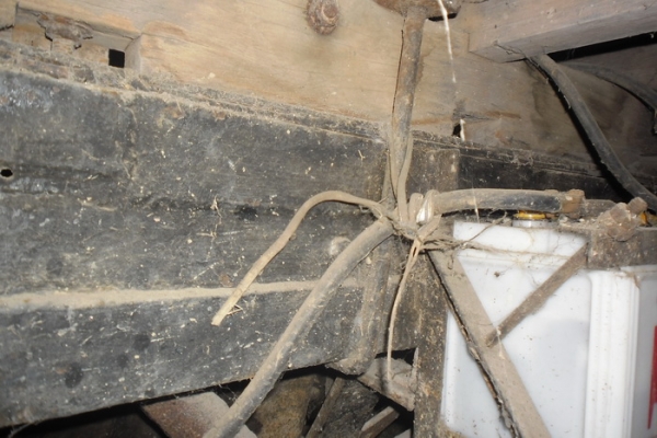 ขายตัด เอาไปทำอีแต๋น หรือแยกส่วนขาย 6ล้อ ISUZU 85 หัวแป วางเครื่อง 100แรง ลมเล่มเรียบร้อย ช่วงล่าง คานหน้าของ110 เฟืองท้ายเิดิม เกียร์ JK5เกียร์ กระบะไม้ยาว4.30ม. ทะเบียนขาดหลายปี ***ขายแล้วครับขอบคุณ Truck2hand