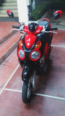 Jelato ปี 2011 ถูกๆ ต่อลองได้