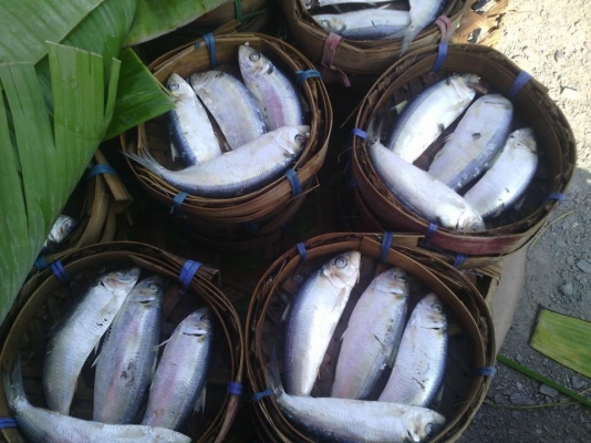 หาซื้อรถแบบผ่อน ราคาไม่เกิน6หมื่นบาท