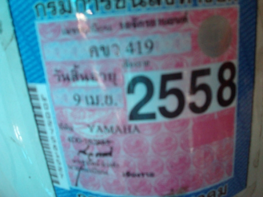 ขาย ฟีโน่ ปี51