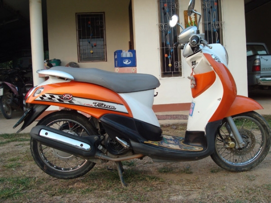 ขาย ฟีโน่ ปี51