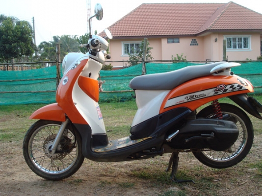 ขาย ฟีโน่ ปี51