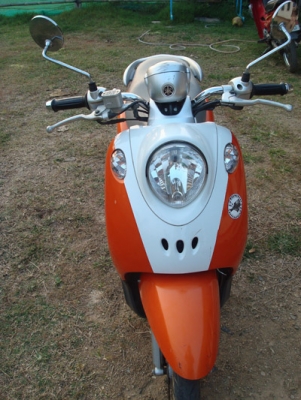 ขาย ฟีโน่ ปี51