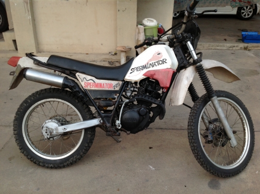 ขาย XT225(serow)