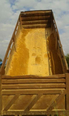 10ล้อดั้ม NISSAN UD CWM430M เครื่อง 230 แรง รถห้างแท้ เดิมๆสีเดิม หัวเดิมบาง สวยแบบเดิมๆ พร้อมใช้...