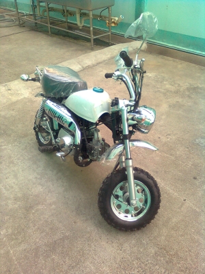 ลิงน้อยจีน ใหม่