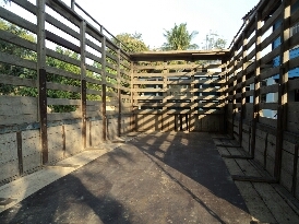 ขาย6ล้อ อิซุสุ