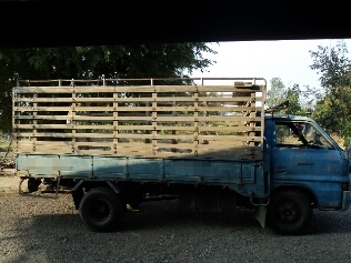 ขาย6ล้อ อิซุสุ