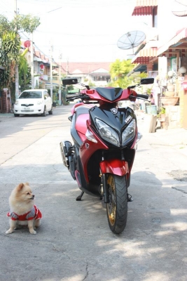 Nouvo Elegance ปี 53