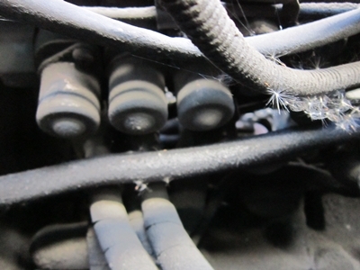 ขาย! รถโฟคลิฟท์(LPG)นำเข้า มือสอง TOYOTA / 02-7FG35 / A71GK40-30348 / ปี2003 / 14,584ชม / ขนาด3.5ตัน