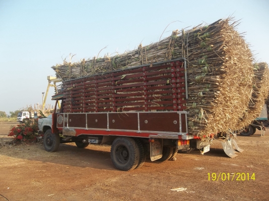 ขาย ISUZU 6ล้อหัวยาว EH700 168แรง LOกลาง เฟืองท้าย220 ยางเต็ม ทะเบียนดีภาษีครบ