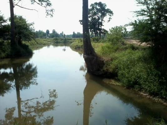 ขายที่ดินติดทางสาธารณะ 11 ไร่ ราคา 160,000 ต่อไร่ อ.สีคิ้ว ขายที่ดินติดทางสาธารณะ 11 ไร่ ราคา 160,000 ต่อไร่ อ.สีคิ้ว