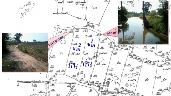 ขายที่ดินติดทางสาธารณะ 11 ไร่ ราคา 160,000 ต่อไร่ อ.สีคิ้ว