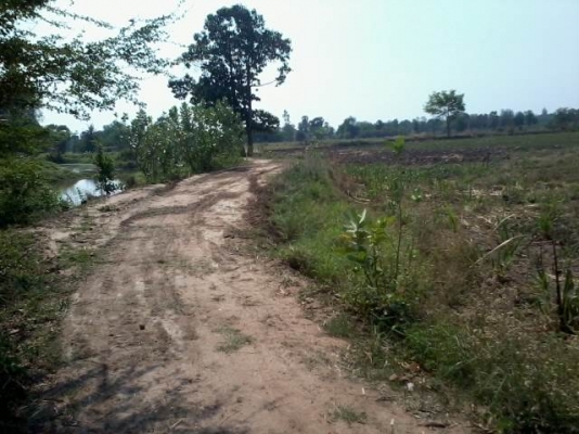 ขายที่ดินติดทางสาธารณะ 11 ไร่ ราคา 160,000 ต่อไร่ อ.สีคิ้ว ขายที่ดินติดทางสาธารณะ 11 ไร่ ราคา 160,000 ต่อไร่ อ.สีคิ้ว